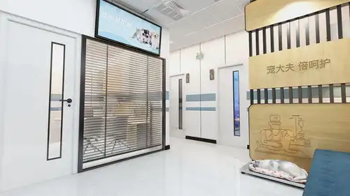 开加盟宠物医院要多钱