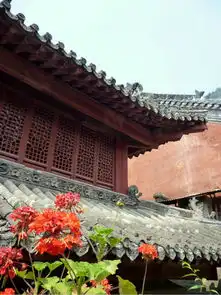 细品道家文化仙游武当山两日