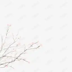 古风花朵边框桃花素材图片免费下载高清psd千库网图片编号11342768