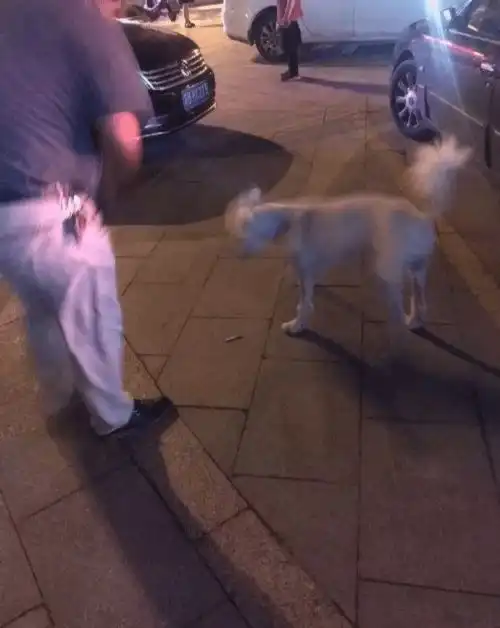 搞笑图片这孩子28年了,发型从未变过