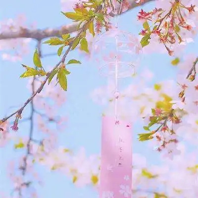 跳高高在线网站游戏