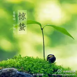 惊蛰的意思是天气回暖,春雷始鸣...,赵先生,留言惊蛰的意思是天气回暖,春雷始鸣...,赵先生,留言