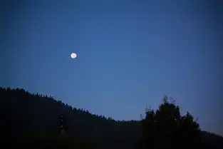 田园浙西南国庆小众山水4日自驾