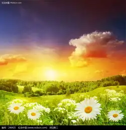 夕阳下的山坡花丛图片免费下载红动网