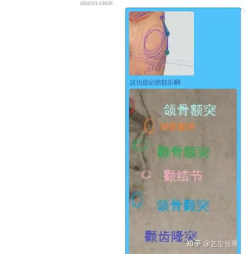 素描头像网课的教学记录