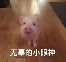 猪肉价何时能稳关注百姓碗里的肉