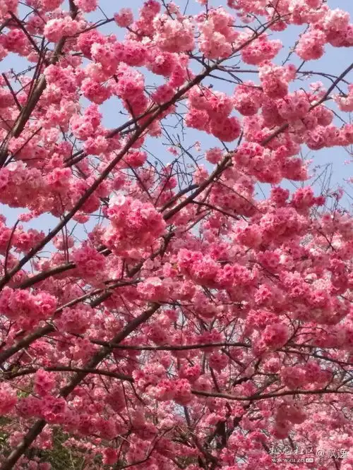 对不起老板,我明天不来上班了
