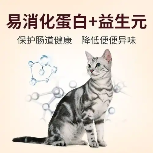 法国皇家猫粮成猫粮口感型2kg加菲猫宠物粮猫粮猫主粮包邮