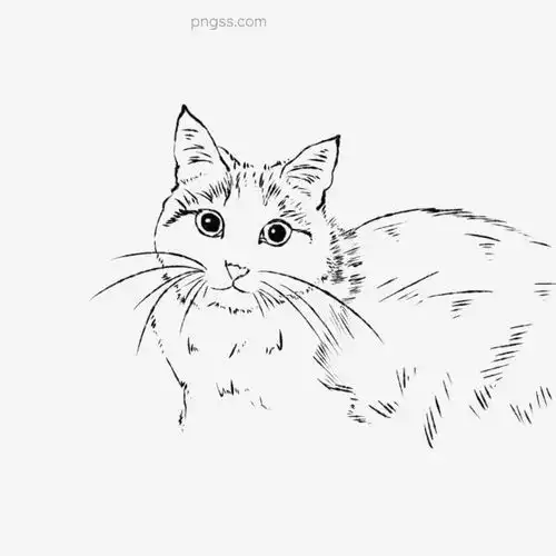 写实线条手绘猫咪图片大小3000x3000px图片尺寸576.93kb来自png搜索网pngss.com免费免扣png素材下载高冷卡通手绘可爱猫猫咪帅气猫咪线条线条手绘写实写实猫咪写实手绘写实线条