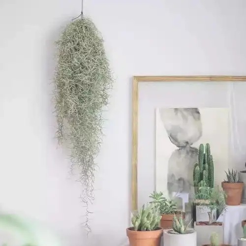 创意手工diy丨谁说女性不能拥有属于自己的事业