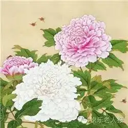 送你这金子般的十句话和十幅绝美动图