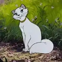 猫儿历险记头像