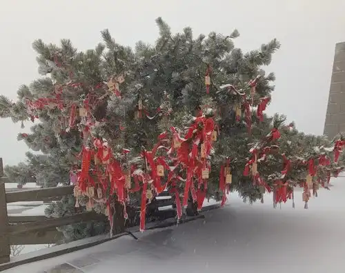 临沂下雪了