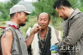 因毛驴受惊栽进山沟高昌昊身亡盘点意外死亡的明星