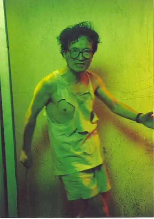 张艺谋最失败的一部电影姜文李保田主演,赵本山葛优客串