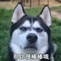 二哈头像带文字关于二哈的搞笑头像带字