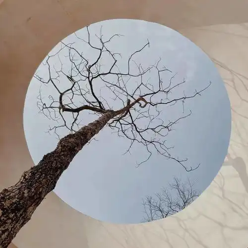 首发丨新老交汇光影几何诧寂美学泰顺这家新山野民宿太惊艳了