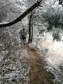 金华北山的冰凌美景未命名