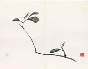 老舍旧藏齐白石早年画册,难得一见