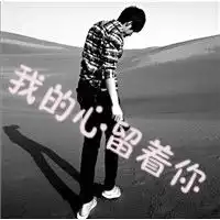 测试一个超长简介的文章