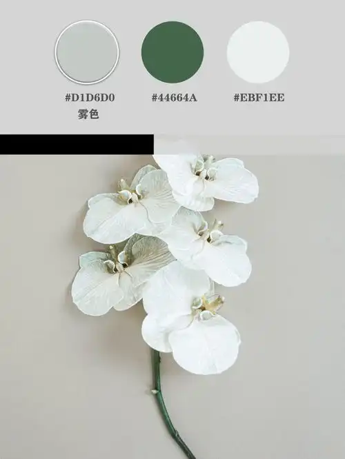 遇见色彩自然雾色,塑造低调的优雅,在沉静中品味都市时尚