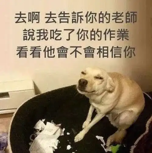 双倍沙雕敢问这是哪位女侠