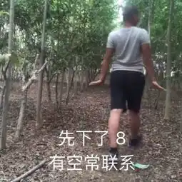剧透慎入刷爆威海人朋友圈的延禧攻略,结局竟然凄凉