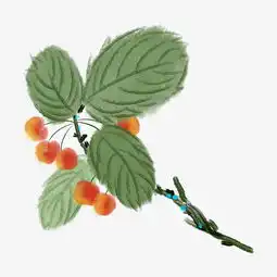 手绘水墨新鲜樱桃插画图片素材其他格式下载动漫人物大全