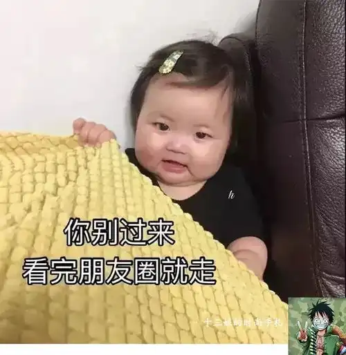 这样的朋友圈,真的很让人喜欢了