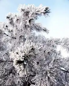 下雪了下雪了2017年广东第一场雪终于来了太惊艳了