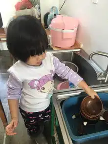 美国孩学什么如何帮孩子选达择家务