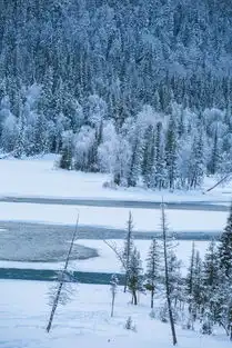 迷失在冬日喀纳斯的冰雪奇缘里