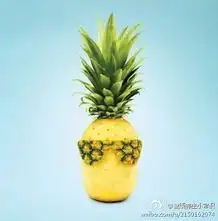 最适合春季吃的食物