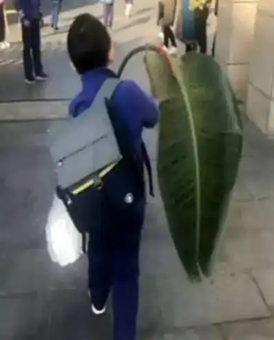 我爱你就像春风走了八万里不问归期