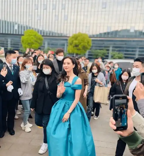 女明星刘诗诗穿蓬蓬裙出席活动,非常优雅美丽