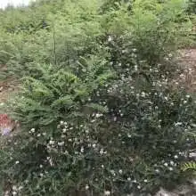 黄页88网