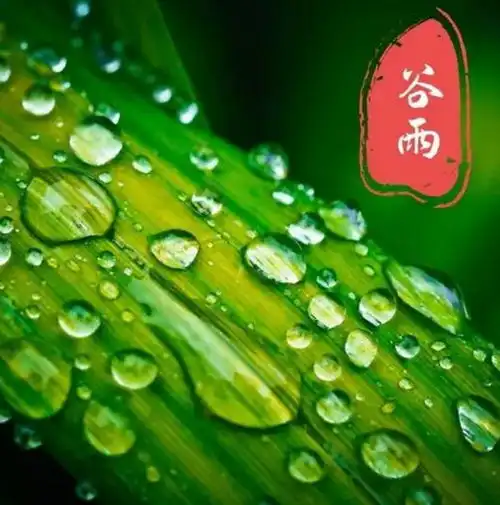 12生肖2024年谷雨时节运势与特吉属相分析