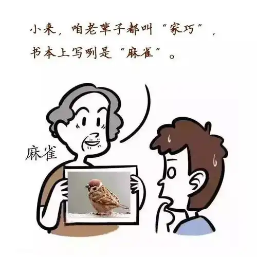 聊城奶奶带着孙子去赶集,火遍聊城啦