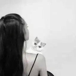 测试一个超长简介的文章