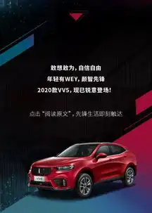 我,2020款vv5,打钱
