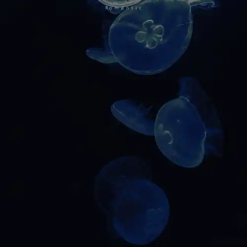测试一个超长简介的文章