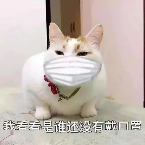 为什么戴上口罩后,帅哥美女变多了