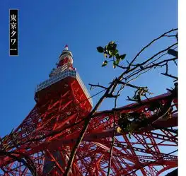 像是久违的东京慢吞吞的旅日游记东京回眸篇新宿御苑明治神宫神宫御苑