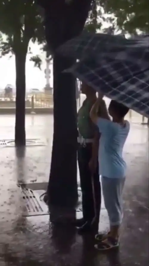 这就是教养,孩子的父母肯定很优秀正能量教养