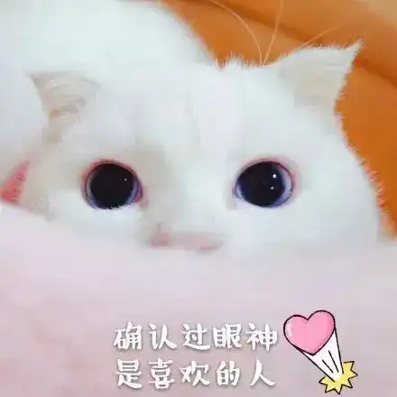 土味情话这样表白效果翻倍学起来吧