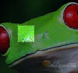 photoshop打造一只变异的青蛙