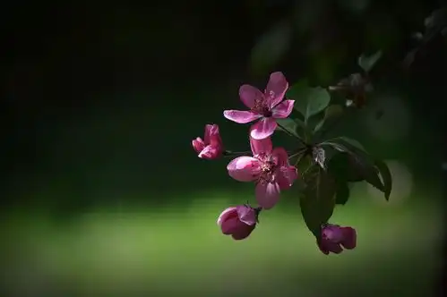 测试一个超长简介的文章