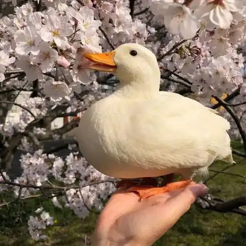能影响你一生的经典句子,一语惊醒梦中人