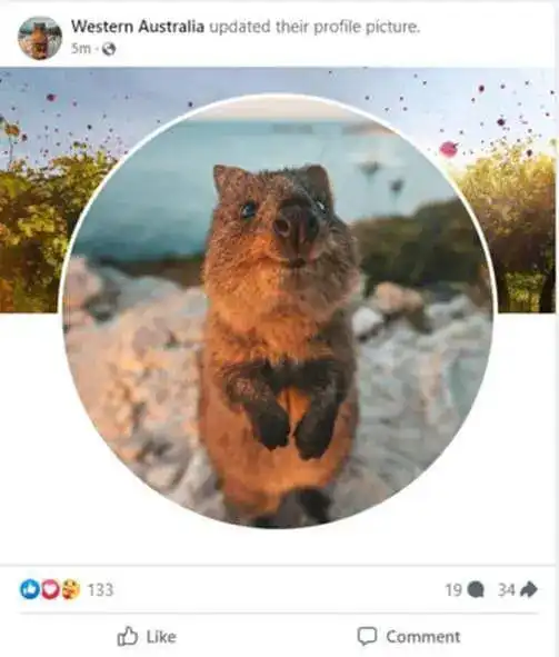 看呆众人澳官方facebook账号新头像为微笑裸男,网友迅速围观