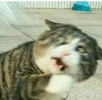 一个女生那些行为会恶心到你